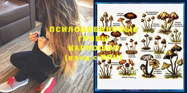 МДПВ Алексеевка
