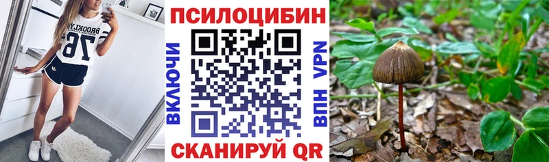 Галлюциногенные грибы мицелий Приволжский